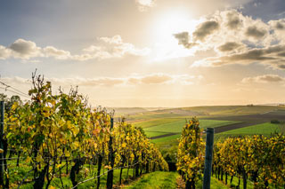 Hotel und Restaurant Weinhaus Sonne, Winningen