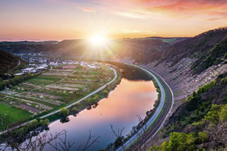 Mosel Riesling aus Steillage und Terrassenlage